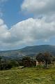 Chypre07 - 2007-03-18_11-11-38
